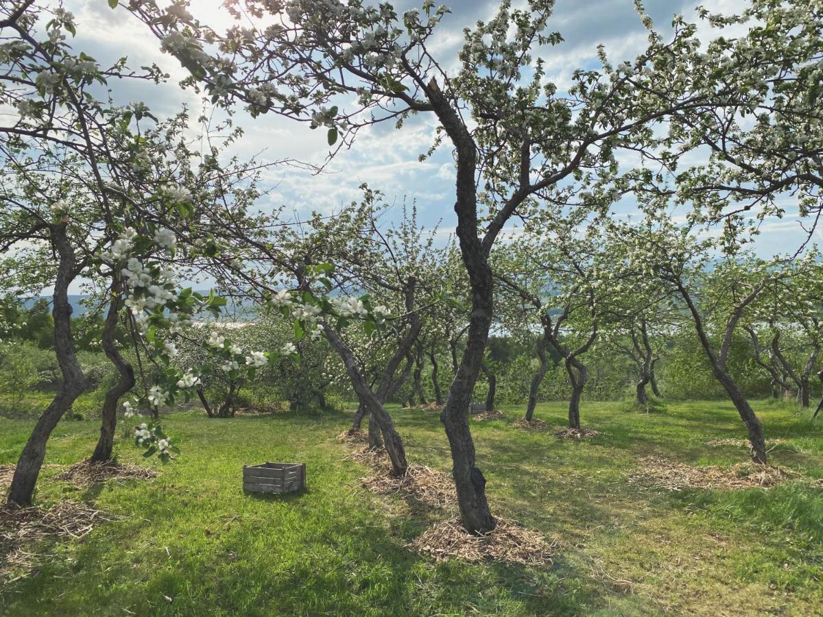 St-Pierre-de-l'Île-d'Orléans Domaine Steinbach Cidrerie B&B Distillerie المظهر الخارجي الصورة