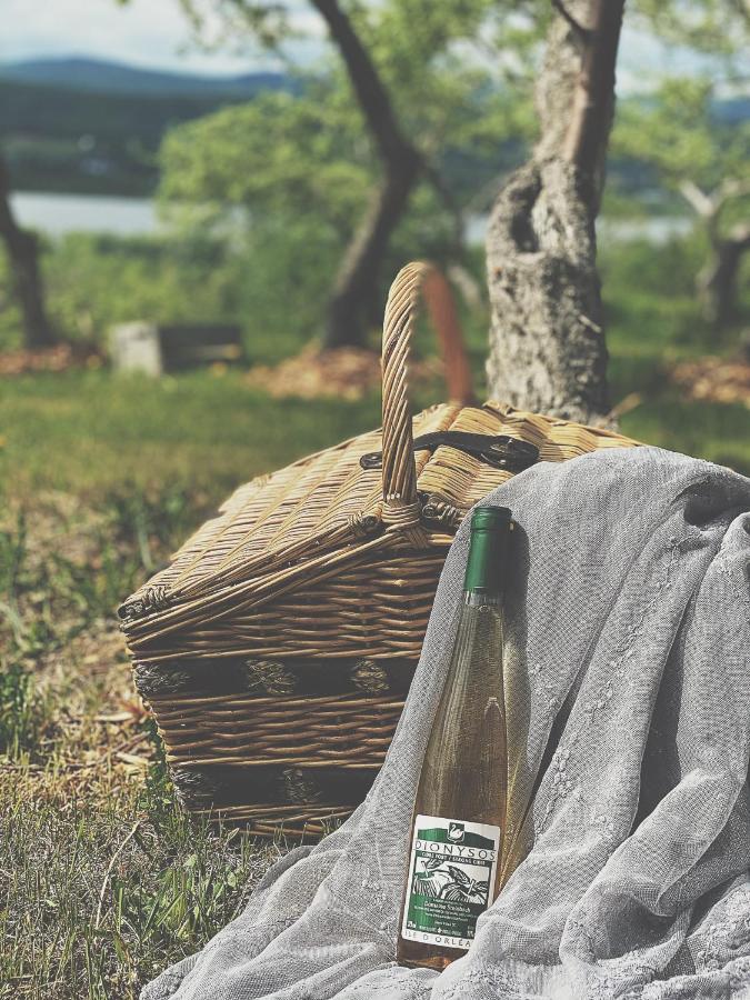 St-Pierre-de-l'Île-d'Orléans Domaine Steinbach Cidrerie B&B Distillerie المظهر الخارجي الصورة