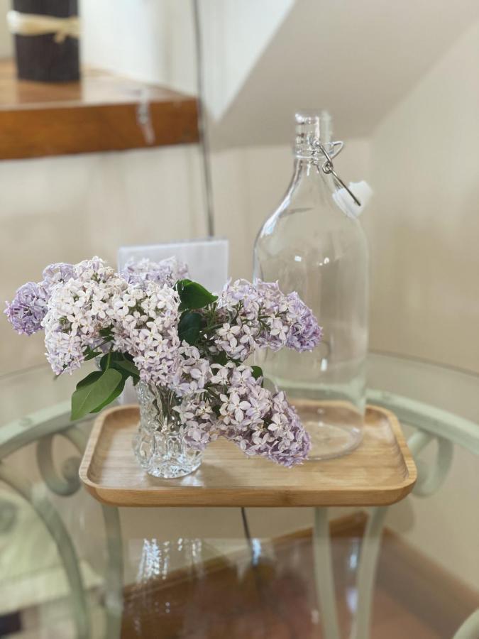 St-Pierre-de-l'Île-d'Orléans Domaine Steinbach Cidrerie B&B Distillerie المظهر الخارجي الصورة