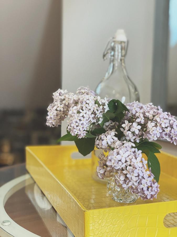 St-Pierre-de-l'Île-d'Orléans Domaine Steinbach Cidrerie B&B Distillerie المظهر الخارجي الصورة
